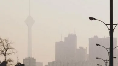 360ورزشی